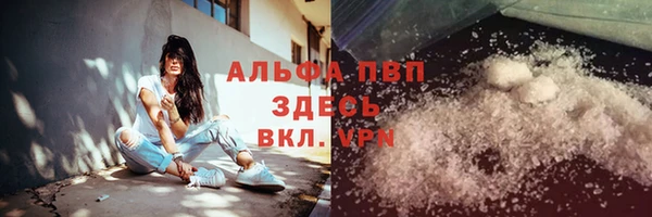индика Белоозёрский