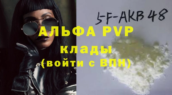 индика Белоозёрский