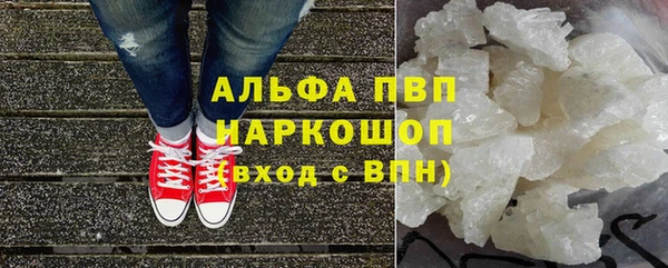 ГАЛЛЮЦИНОГЕННЫЕ ГРИБЫ Белокуриха