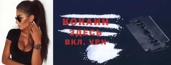 ГАЛЛЮЦИНОГЕННЫЕ ГРИБЫ Белокуриха