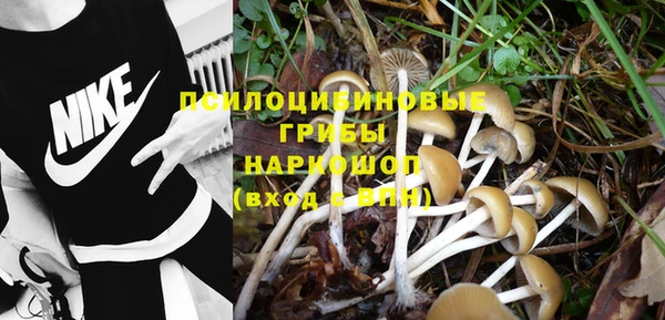 дживик Богданович
