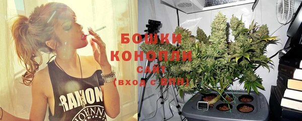 индика Белоозёрский