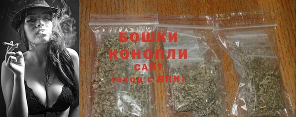 ГАЛЛЮЦИНОГЕННЫЕ ГРИБЫ Белокуриха