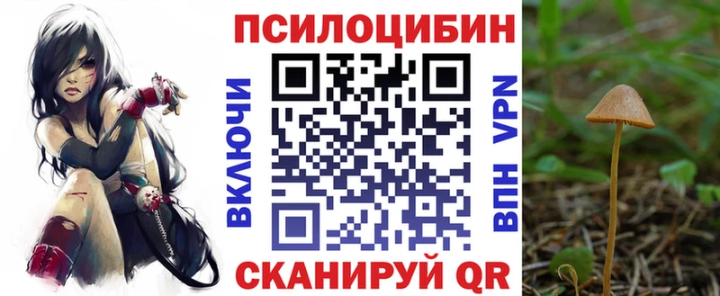 Галлюциногенные грибы GOLDEN TEACHER Верхотурье