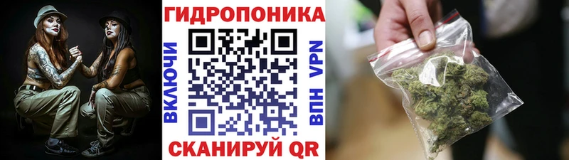Шишки марихуана конопля  Верхотурье 